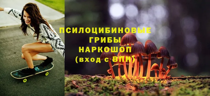 Галлюциногенные грибы Magic Shrooms  купить  сайты  Собинка 